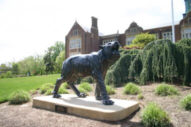 Towson University Tiger Mascot.