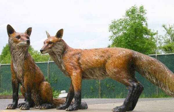 Fox Pair