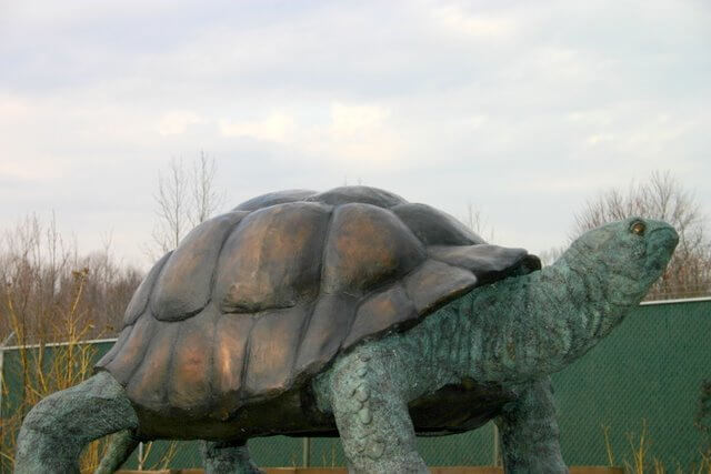 Large bronze fountain statue of a standing tortoise turtle displayed outdoors against a cloudy sky.