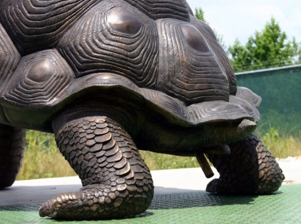 Giant Bronze Galapagos Turtle Fountain (Special Order)