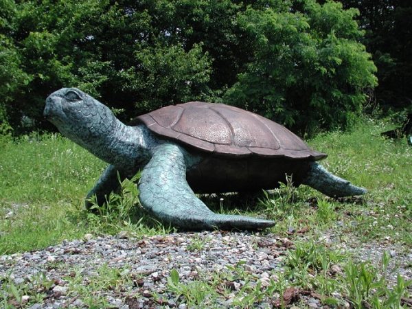Bronze Sea Turtle (Large)