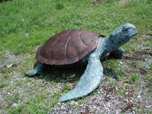 Bronze Sea Turtle (Large)
