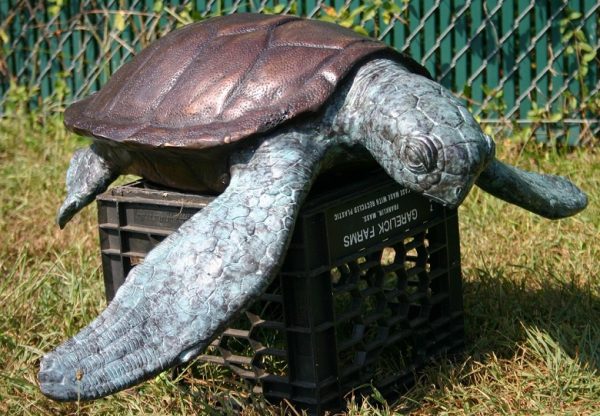 Bronze Sea Turtle (Small)