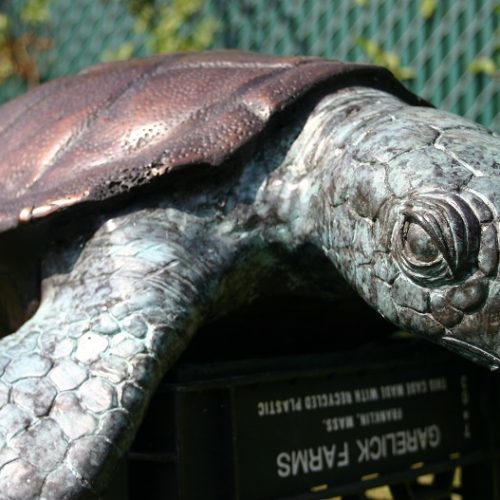 Bronze Sea Turtle (Small)