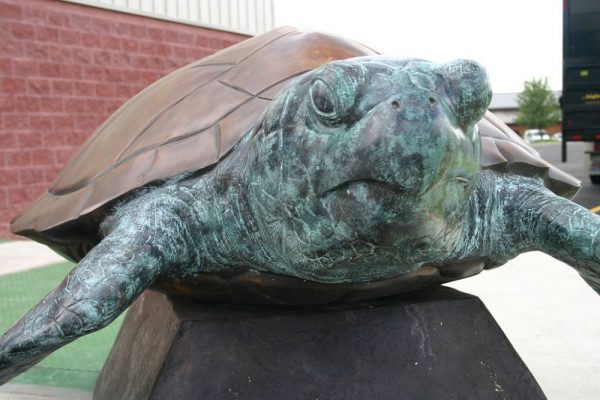 Bronze Loggerhead Turtle on Base
