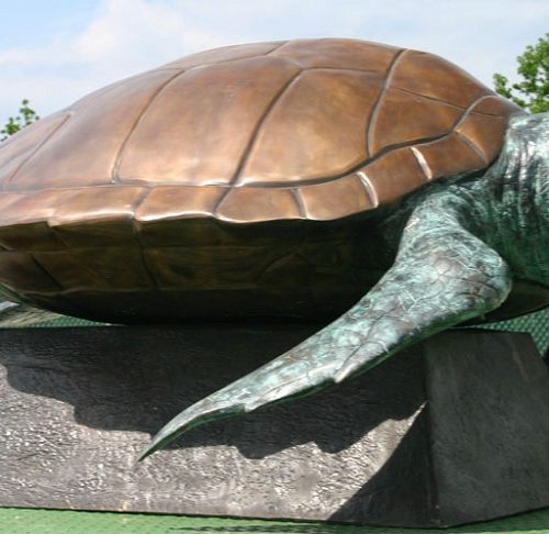 Bronze Loggerhead Turtle on Base