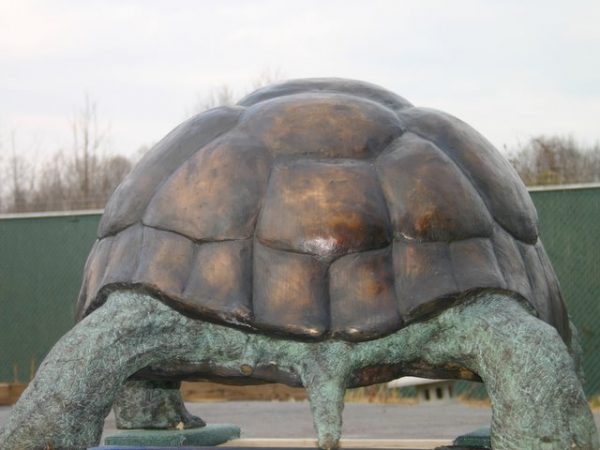 Bronze Standing Tortoise Turtle Fountain