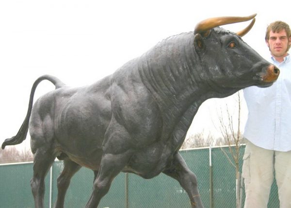 Giant Bull Toro