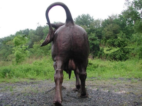 Giant Bull