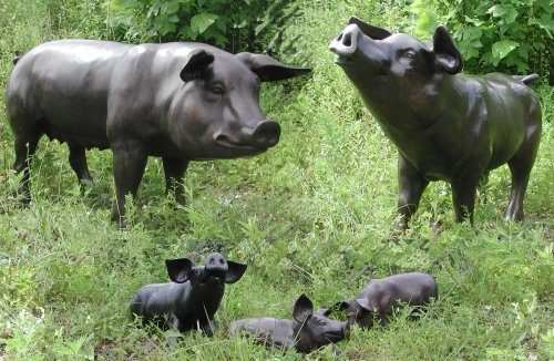 Pig Family of Five