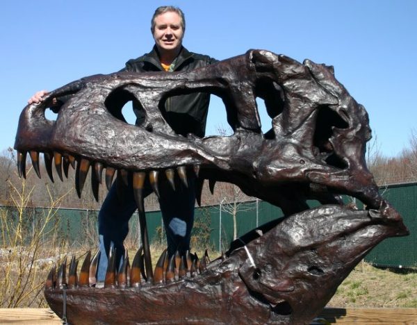 real t rex skull for sale